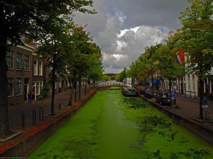Canal in a Dutch town with houses and trees
