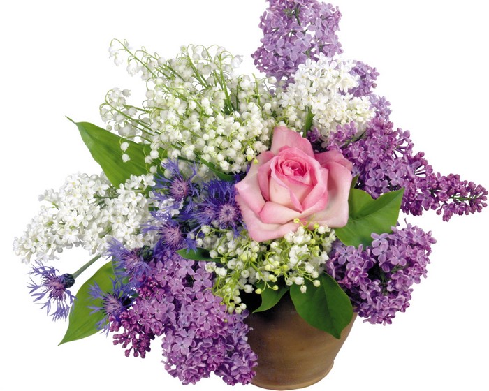 Bouquet of Lilacs, Roses, Lily of the Valley, and Cornflowers