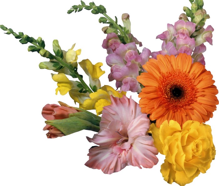 Bouquet of assorted flowers