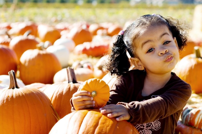 Little girl with pigtails at a pumpkin patch