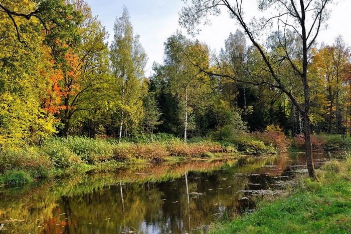 Autumn forest reflected in a calm river