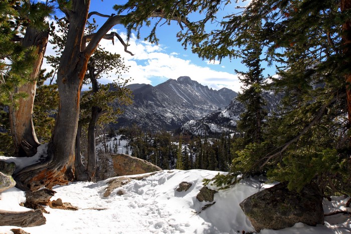Rocky Mountain National Park, Colorado in Winter