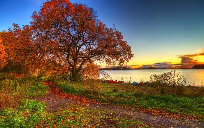 Autumn path by the lake at sunset