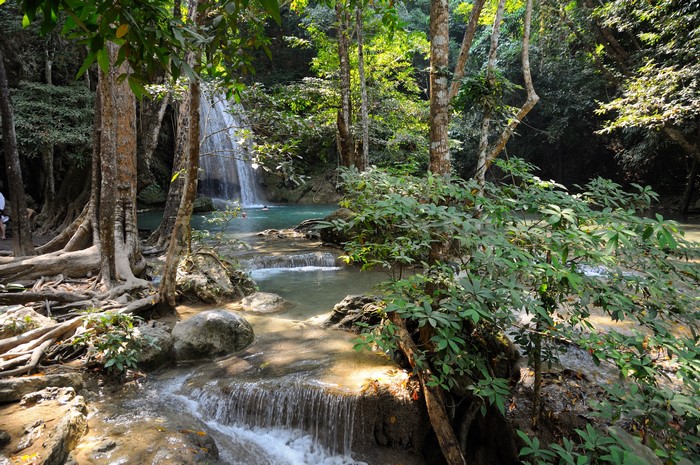 4K Waterfalls in a Lush Forest