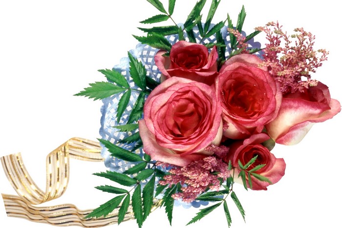 Pink Roses with Greenery and Ribbon