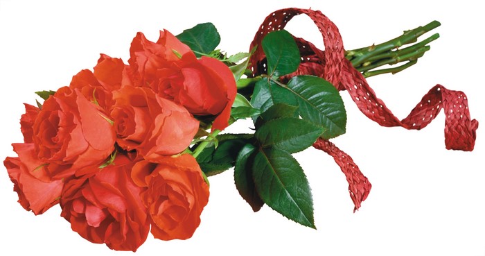 Bouquet of red roses with ribbon