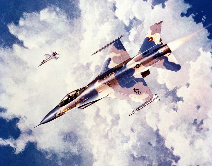 Two Navy fighter jets in flight