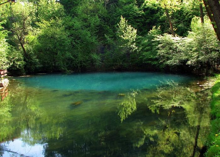 Turquoise spring surrounded by lush green forest