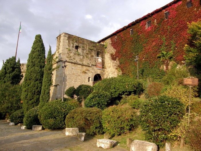 Castle covered in ivy with Italian flag