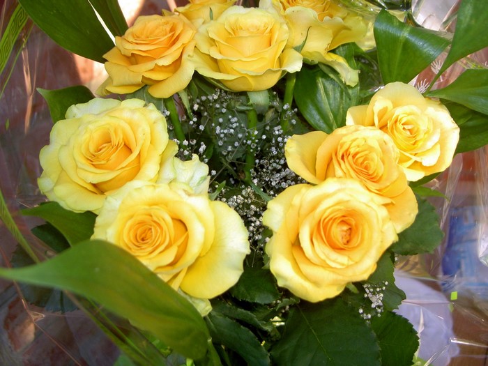 Bouquet of yellow roses with green leaves