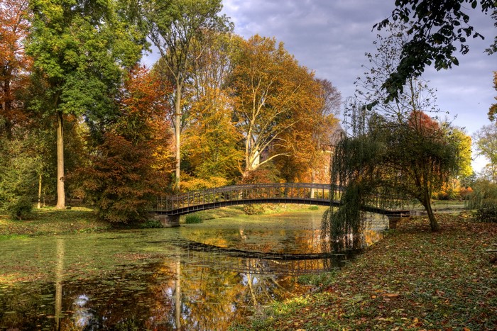 Autumn park with a bridge over a pond