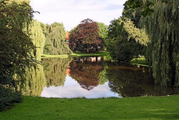 Lake with trees and reflections in the Netherlands