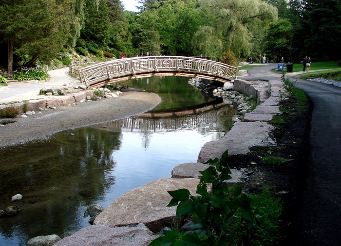 Wooden bridge over a stream in a park