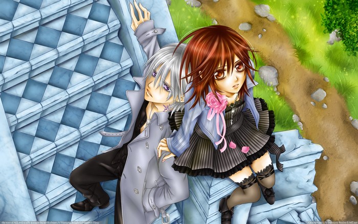 Zero Kiryu and Yuki Cross from Vampire Knight