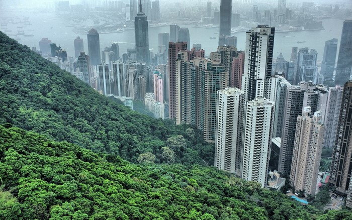 Hong Kong skyscrapers and green mountain from above