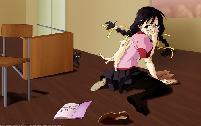 Hitagi Senjougahara from Bakemonogatari with cats