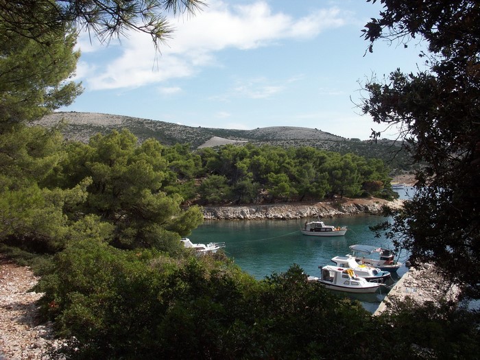 Boats in a Mediterranean cove with pine trees and hills