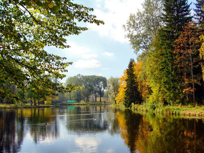 Autumn lake with trees reflecting in water