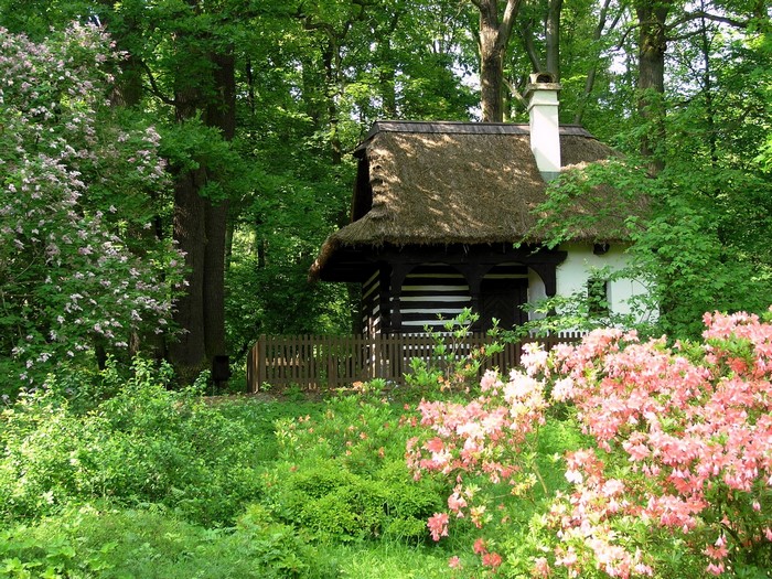 Thatched roof cottage in a forest with flowers