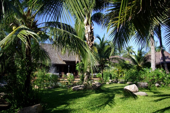 Tropical resort with palm trees and a building