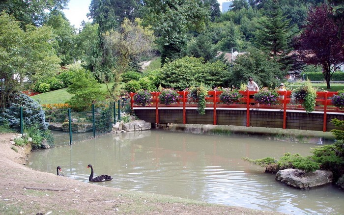 Park with a pond, bridge, and black swans