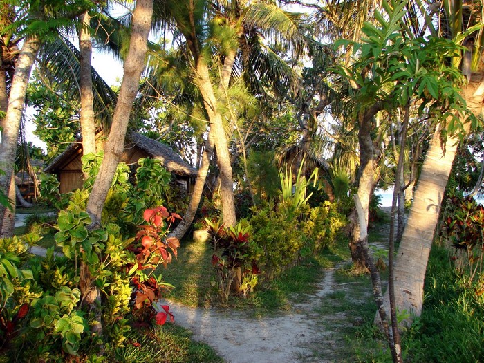 Tropical resort with bungalows and palm trees