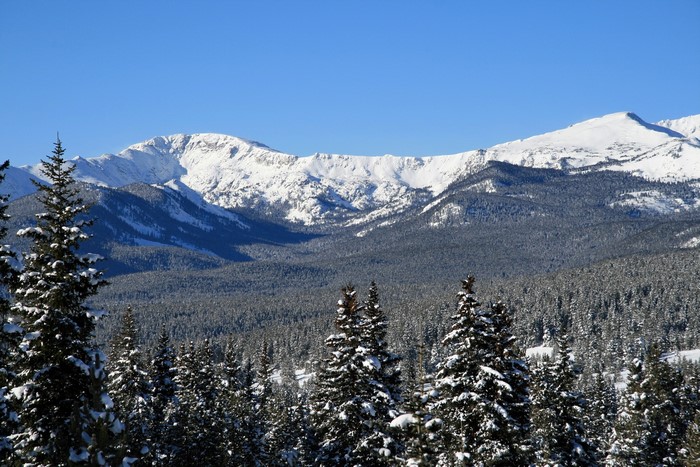 Snowy Mountains and Pine Forest Under a Clear Blue Sky
