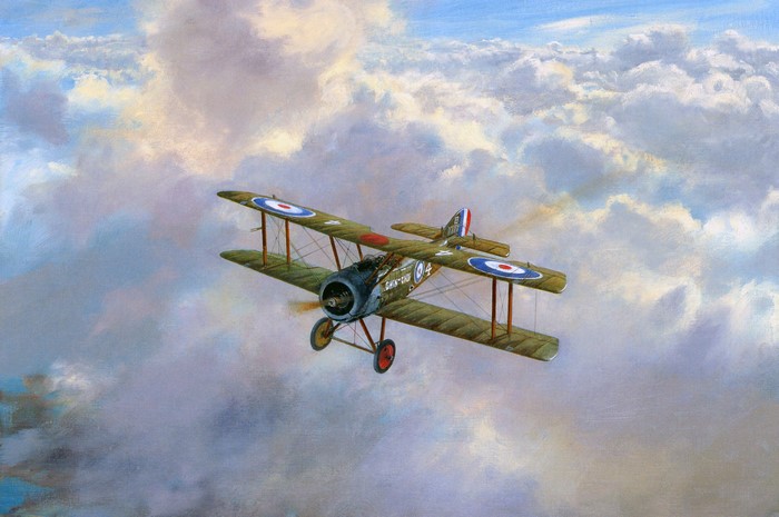 Painting of a biplane flying through clouds