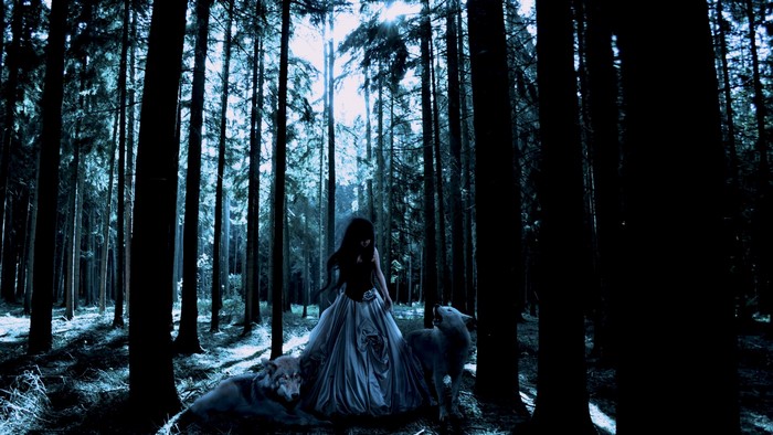 Gothic Fantasy Woman with Wolves in Forest