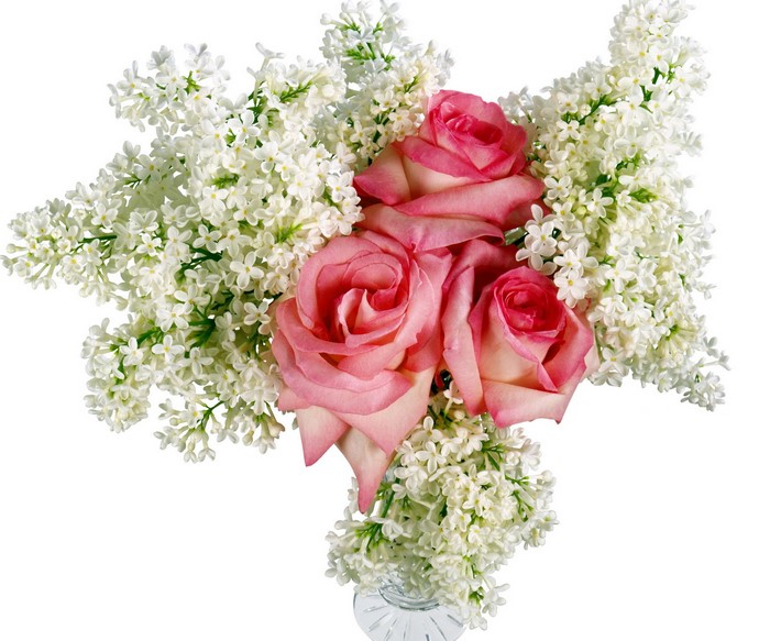 Pink roses and white lilac bouquet