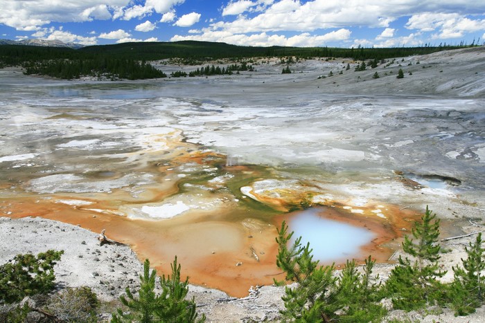 Yellowstone National Park, Wyoming, USA