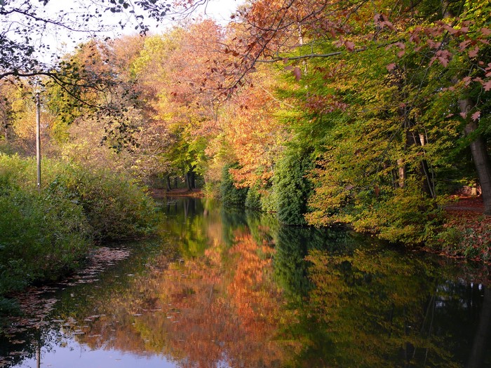 Autumn trees reflected in a calm lake in Germany