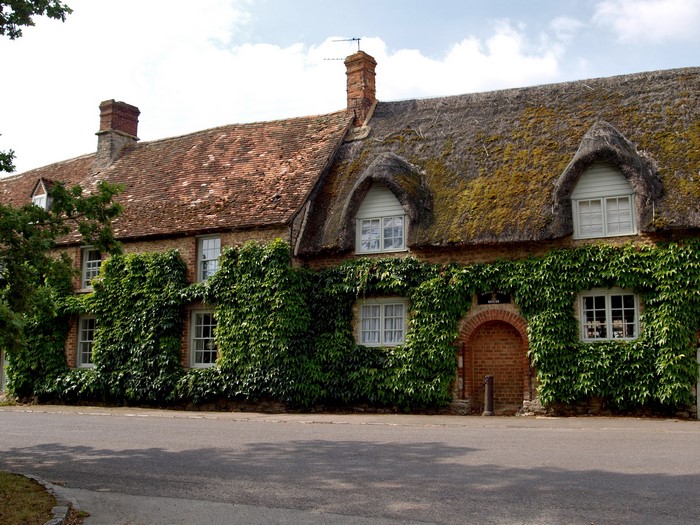 Thatched roof cottage covered in ivy in the United Kingdom