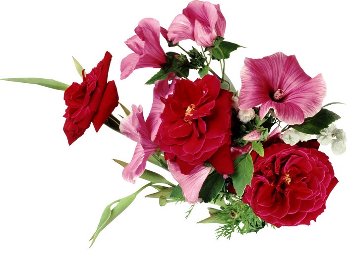 Bouquet of red and pink flowers