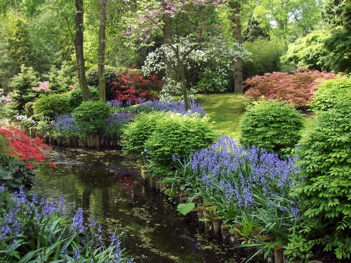 A tranquil garden with a pond and blooming flowers