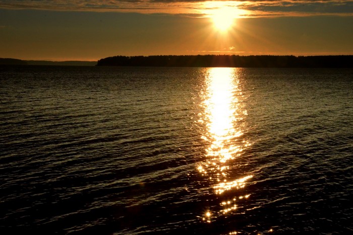 Sunset over a calm body of water with a tree line
