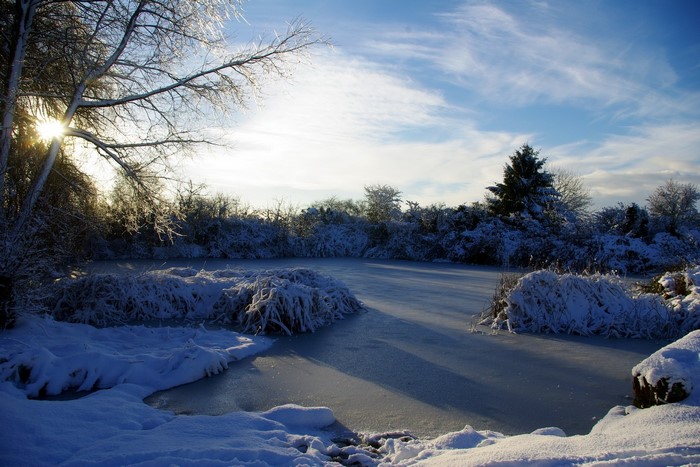 Frozen pond with snow-covered trees and sun