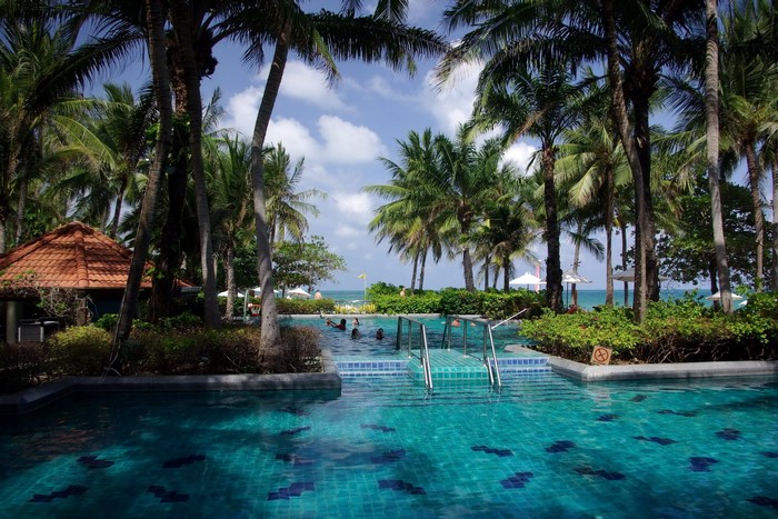 Resort swimming pool with palm trees and ocean view