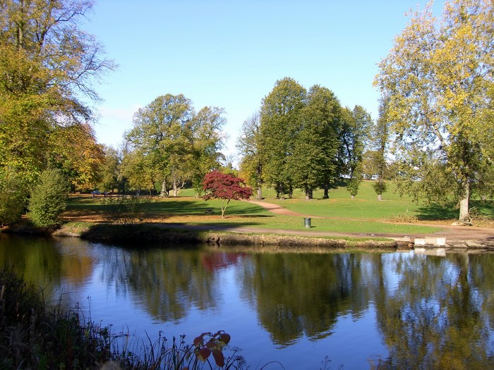 Autumn park with a pond and trees