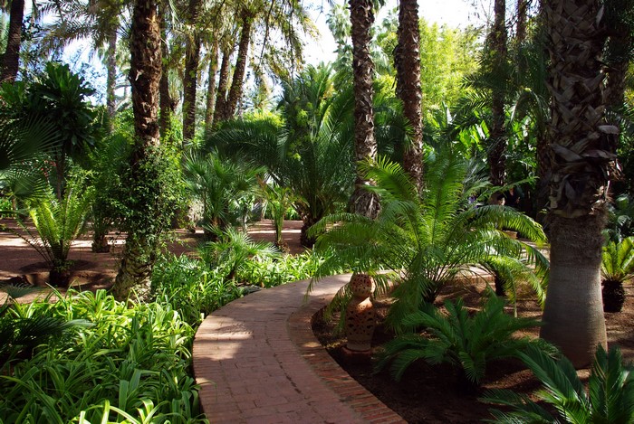 A winding brick path through a tropical garden with palm trees