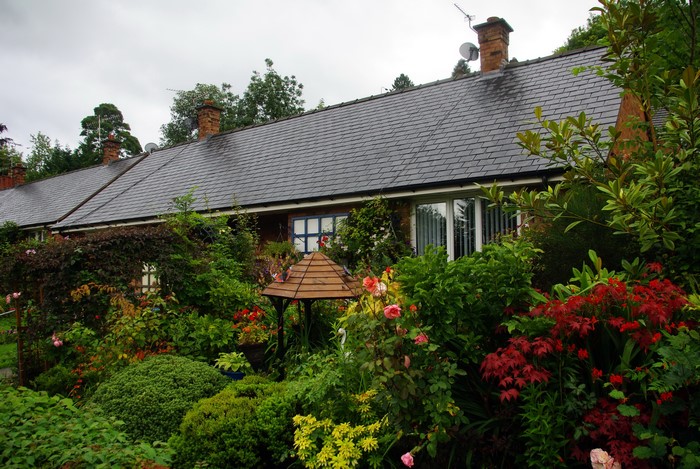Terraced houses with overgrown garden in Llangollen, United Kingdom