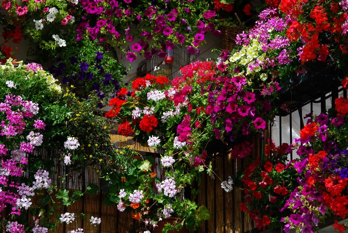 Balcony overflowing with colorful flowers