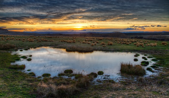 Sunset over a grassy plain with a pond