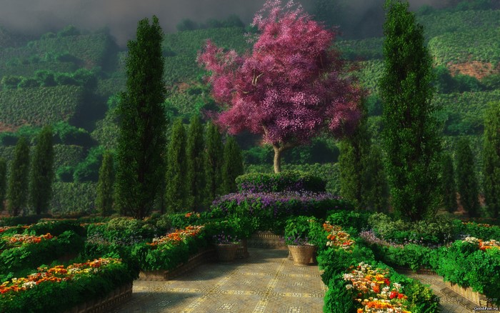 Beautiful garden with blooming trees and flowers