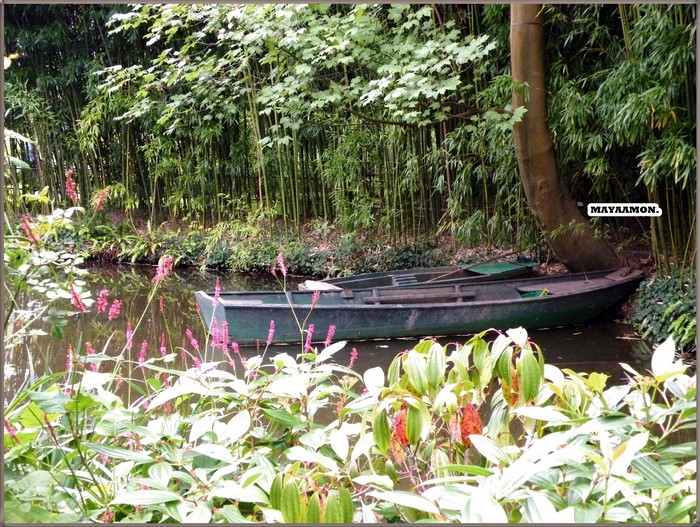 Boat in a bamboo forest park