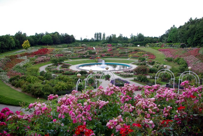 Rose garden with a central fountain and arched walkways