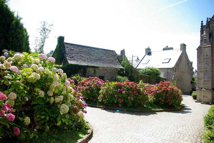 Stone houses and hydrangeas in a French village