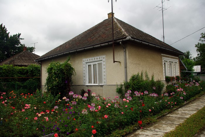 House with a rose garden in Ukraine