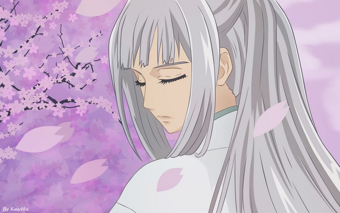 Kaname Kuran from Vampire Knight
