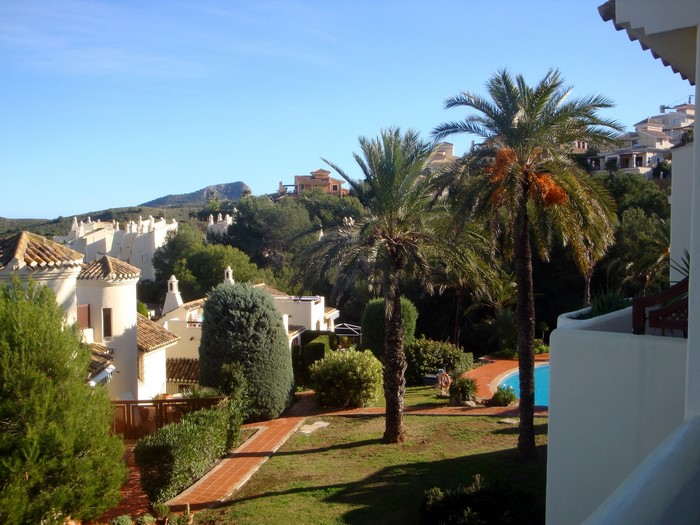 Resort buildings with palm trees and pool in Spain